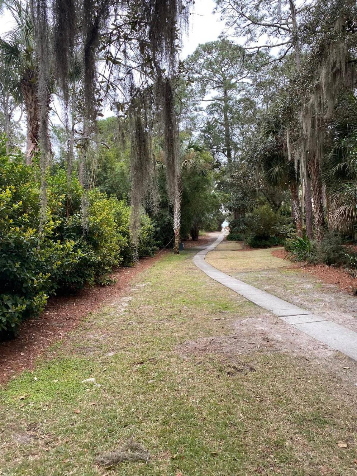 6 Wood Ibis - Host2Coast Villa Hilton Head Island Exterior photo